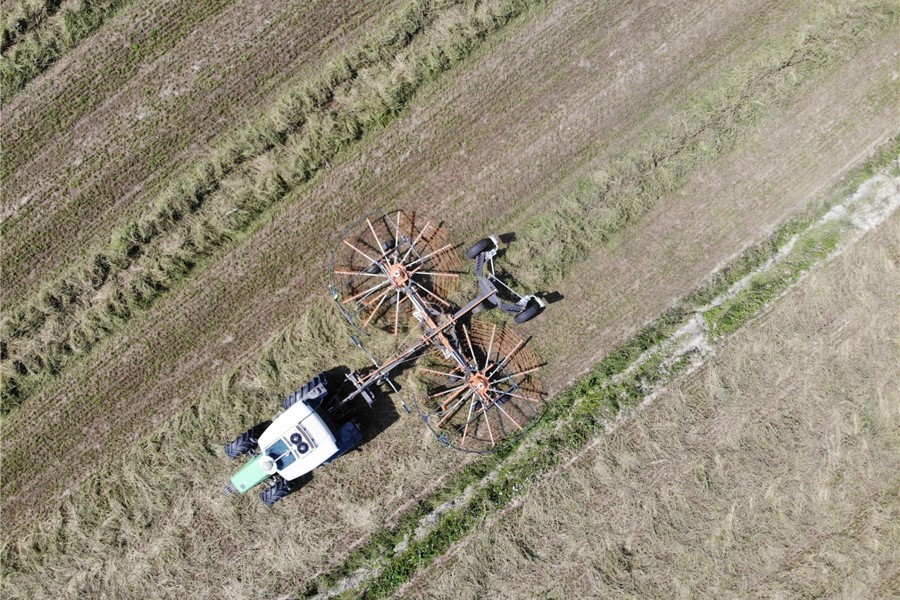 dji-0321.jpg