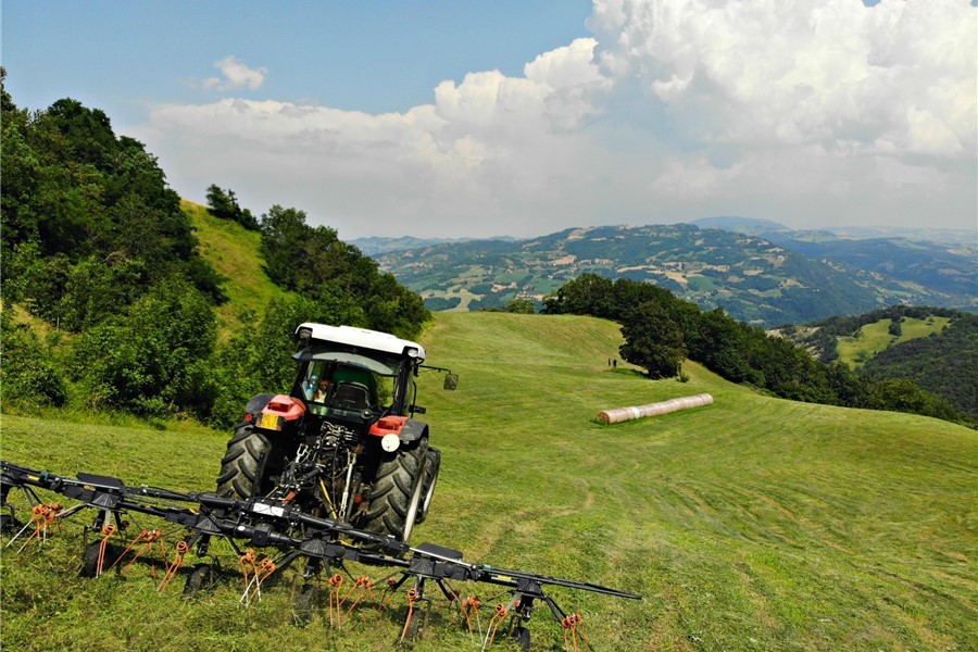 dji-0645.jpg
