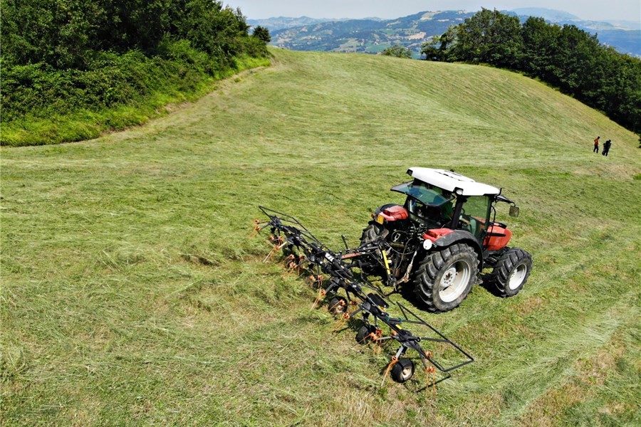 dji-06481.jpg